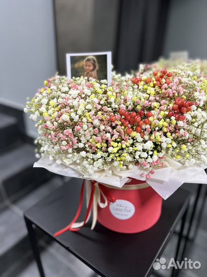 Гипсофила живые цветы букеты доставка