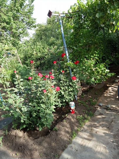 Дача 30 м² на участке 6 сот.