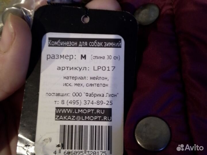 Одежда для маленьких собак