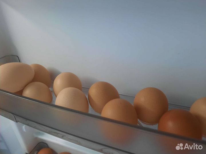 Домашние куриные яйца