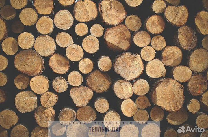 Дрова колотые