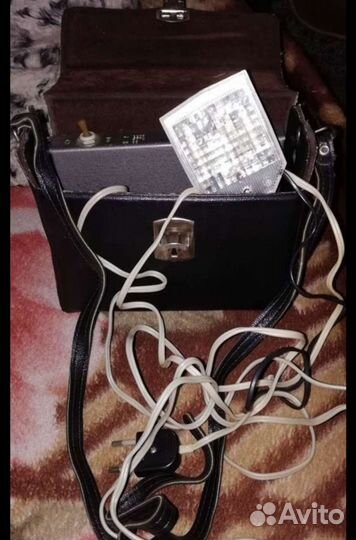 Вспышка, чайка