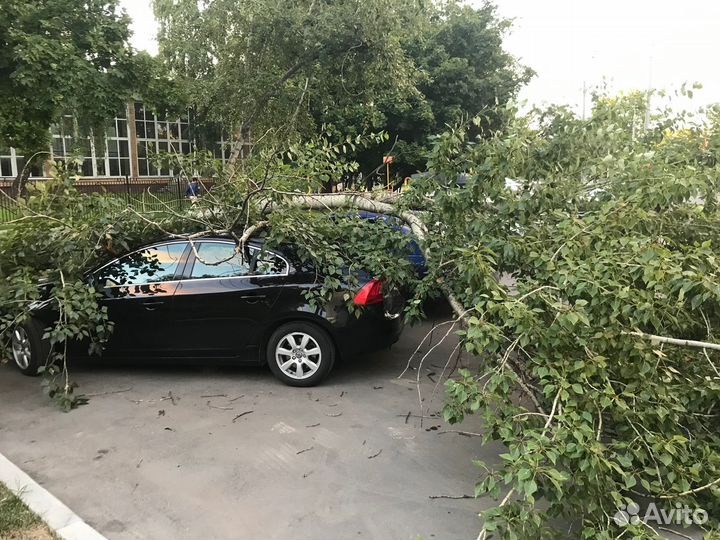 Автоюрист: дтп, осаго/каско, фссп, гибдд