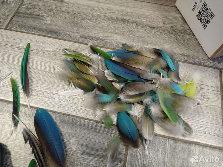 Перья для творчества