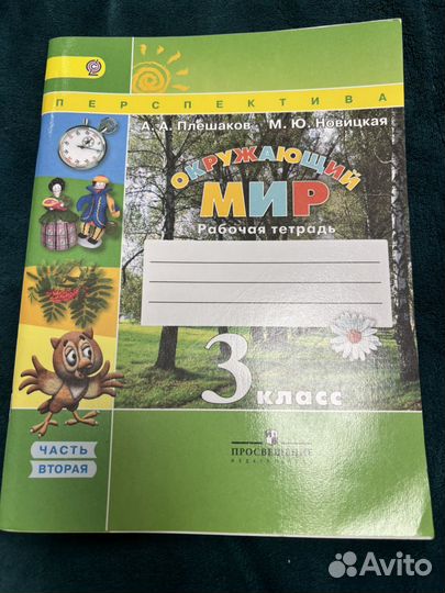 Рабочая тетрадь по окружающему миру 3 класс