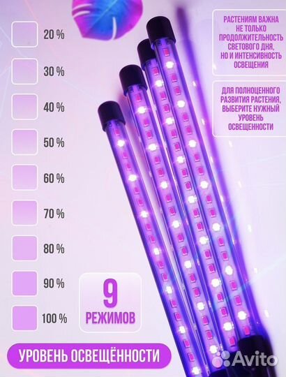 Фитолампа для рассады и растений