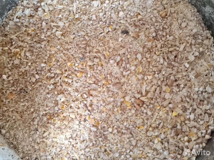 Комбикорм для всех (пшеницы+кукурузы+ячменя+горох)