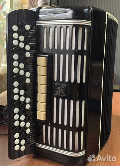 Баян горловский