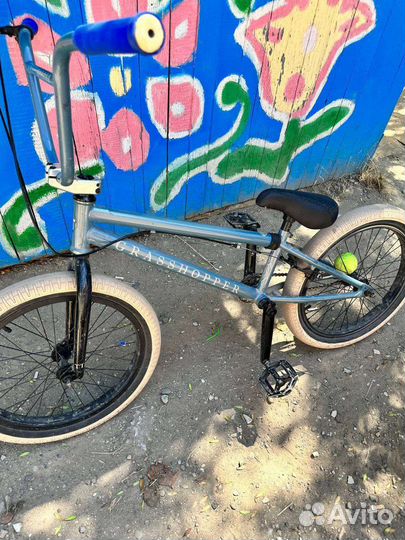 Bmx tech team grasshopper