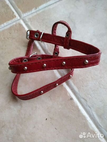 Шлейка для собаки натуральная лакированная кожа