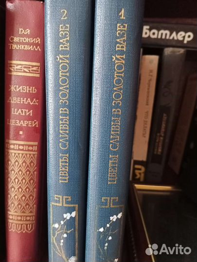 Книги. Цветы сливы в золотой вазе