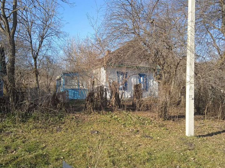 Дом 55 м² на участке 1,5 га