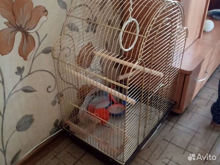 Клетка для птиц