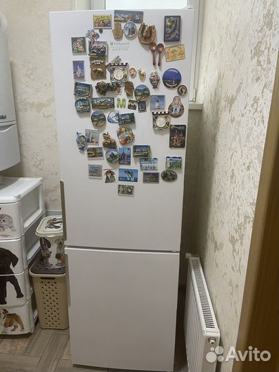 Hotpoint ariston холодильник