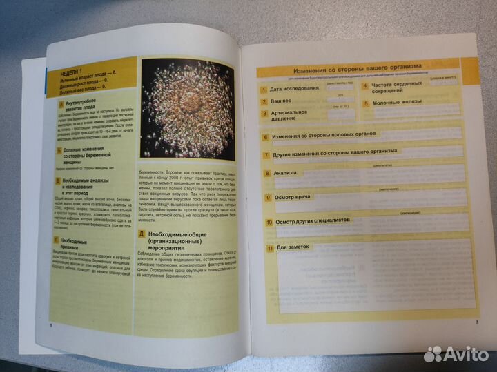 Дневник беременной женщины