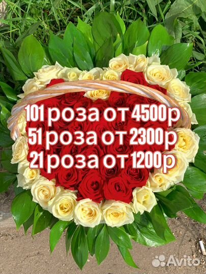 Розы цветы доставка от производителя букеты