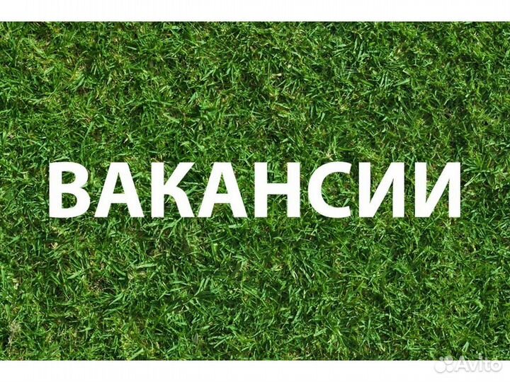 Подсобный рабочий вахта до 74 смен проживание