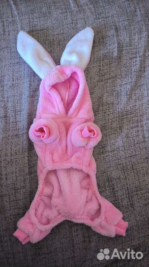 Костюм для собаки