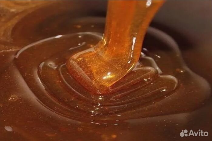 Мёд натуральный алтайский опт. min 16kg