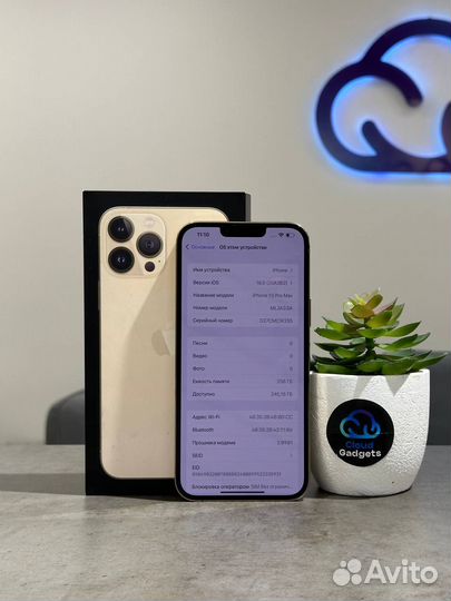 iPhone 13 Pro Max, 256 ГБ