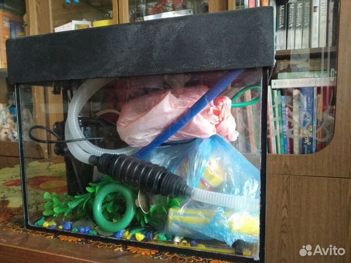 Клетка и аквариум