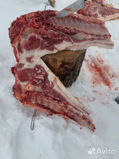 Мясо свинина домашняя