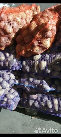 Продам картофель