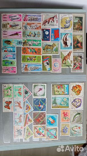 Почтовые марки СССР, Польша,спорт, галереи