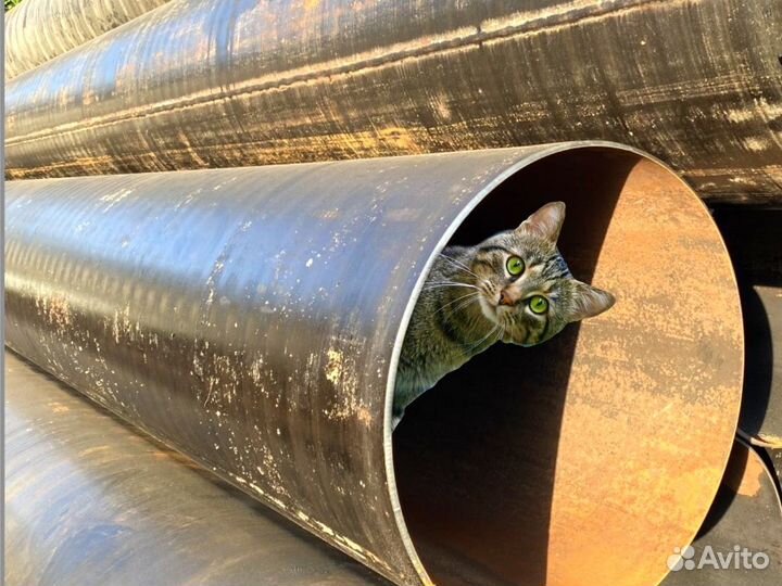 Труба 159-325-1420 новая цт