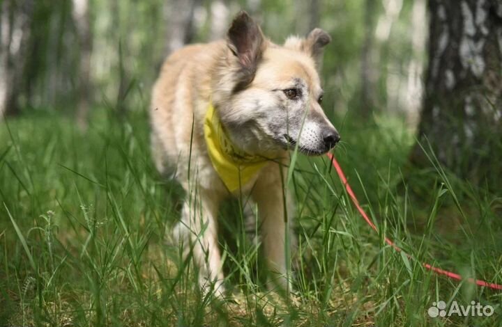 Букля ждет своих родителей