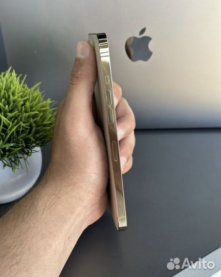 iPhone 12 Pro Max 256gb Акб-92 Отличное Состояние