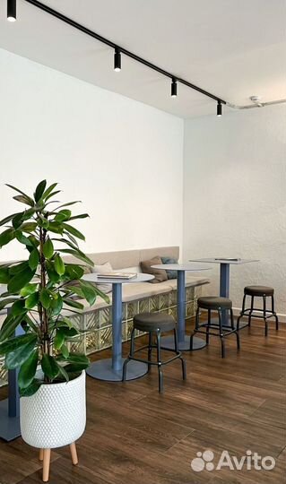 Аренда помещения под мероприятие