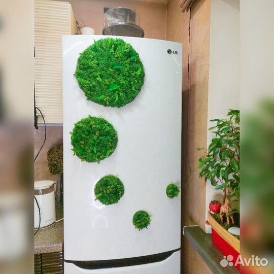 Холодильник дизайнерский