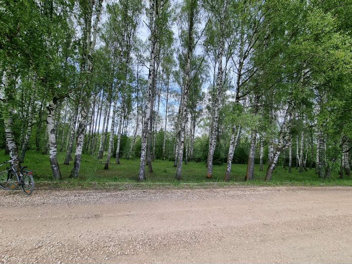 Участок 20,1 сот. (ИЖС)