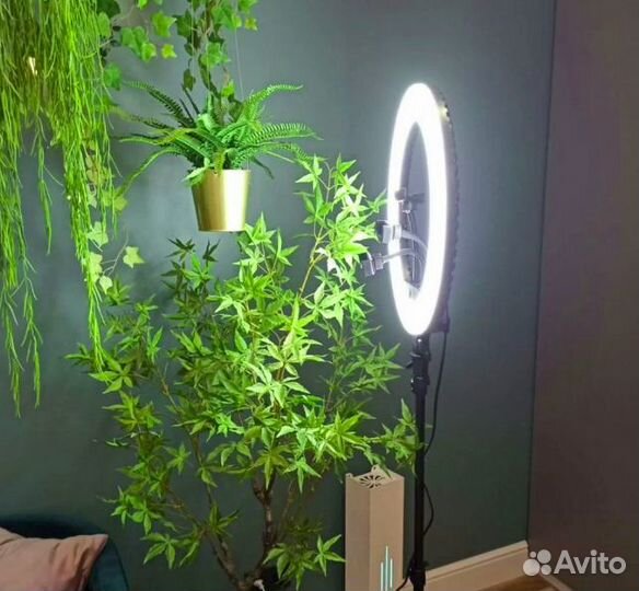 Кольцевая Лампа Для Фотосъемки