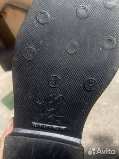 Сапоги для конного спорта 38