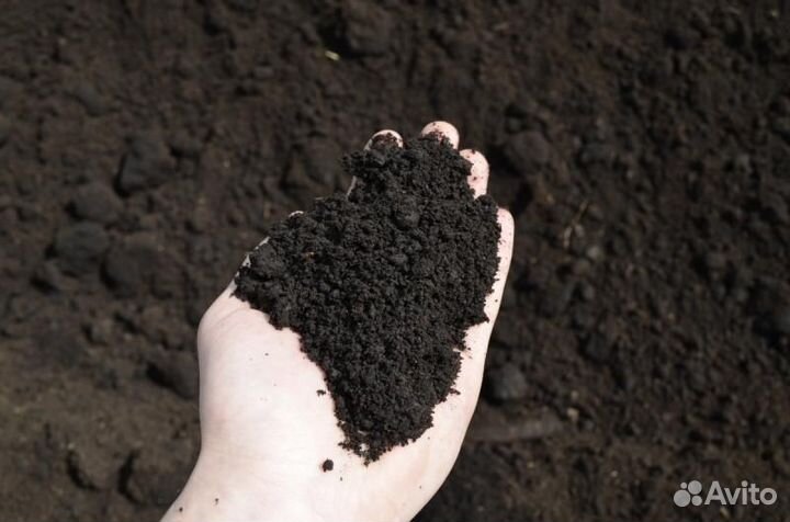 Чернозем навоз грунт для рассады