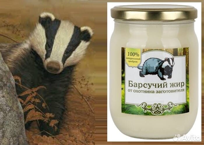 Барсучий жир
