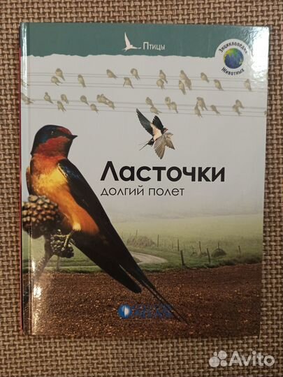 Книги для школьников