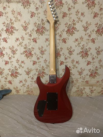 Гитара, Электрогитара PhillPro