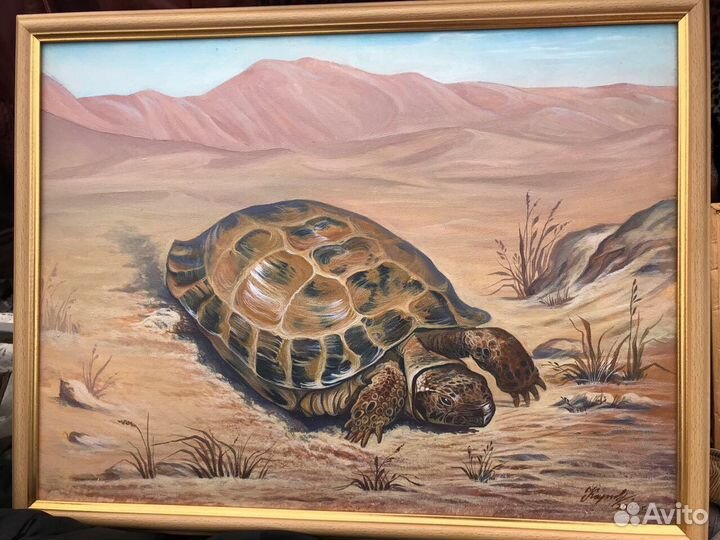 Картины рисованные на холсте. Состояние хорошее