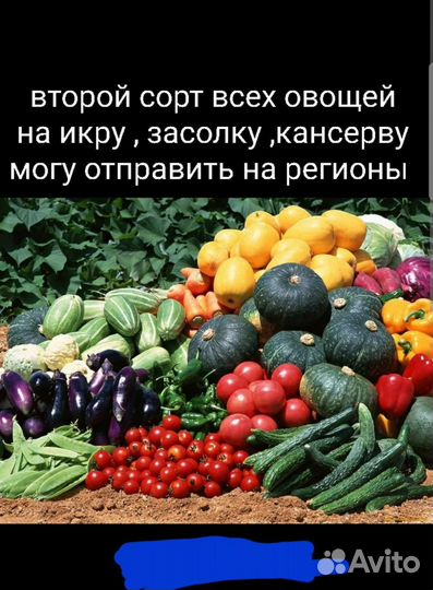 Овощи второй сорт любые