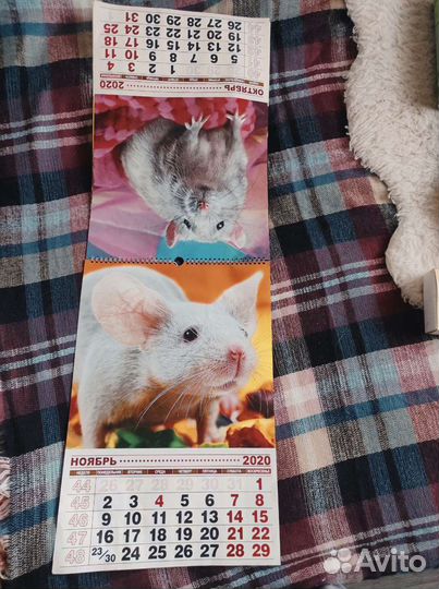 Банки, настенные календари