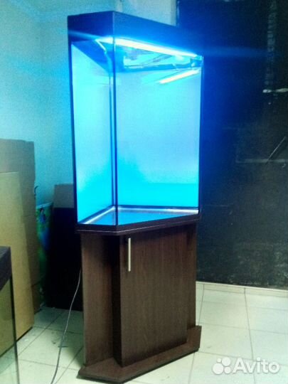 Аквариум 200, новый угловой, свет, биофильтр тумба