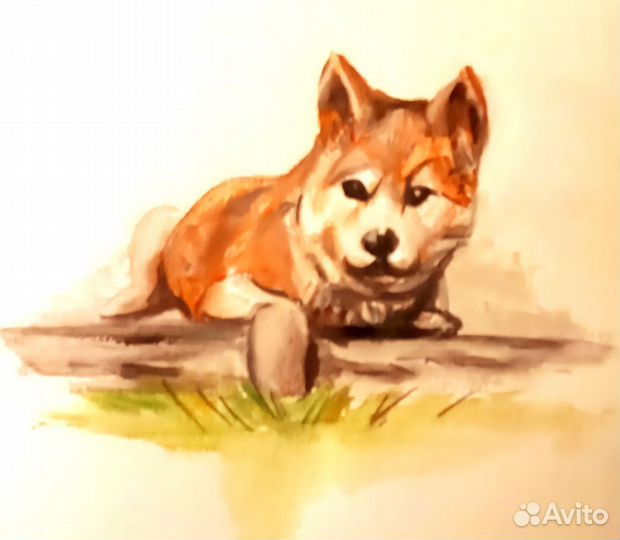 Рисунок вашего питомца