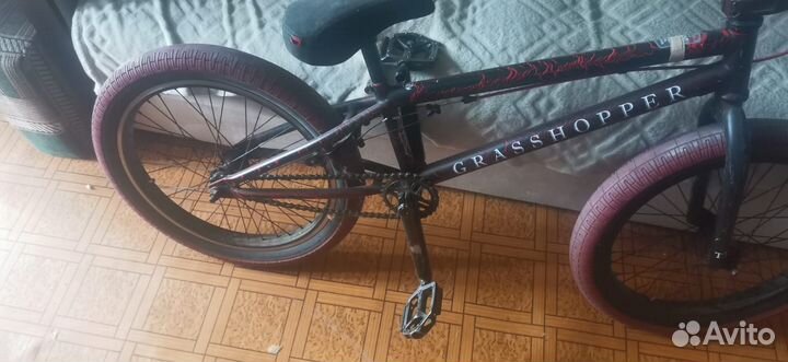BMX TT grasshopper