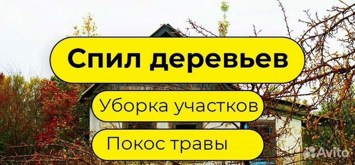 Спил деревьев