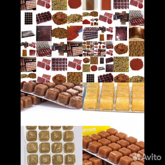 Разнообразие Замороженных И Сухих Кормов