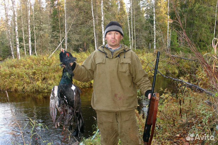 Продаются Охотничьи угодья 300 тысяч гектаров