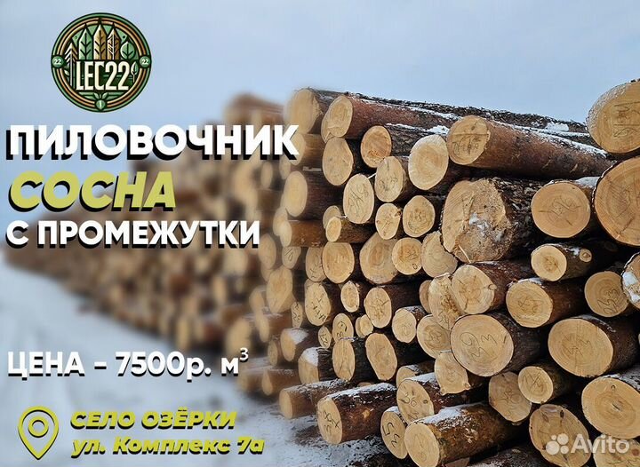 Пиловочник 6м с места